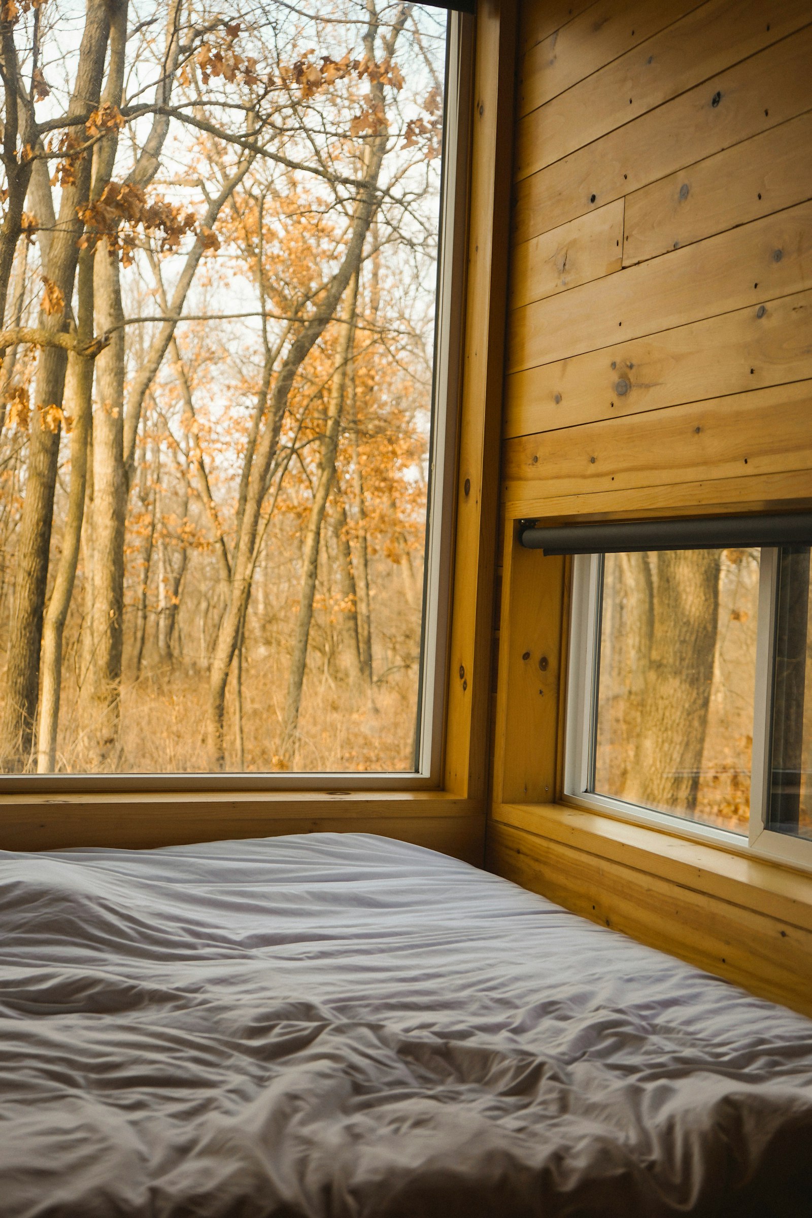 The bed beside a large window facing the forest
