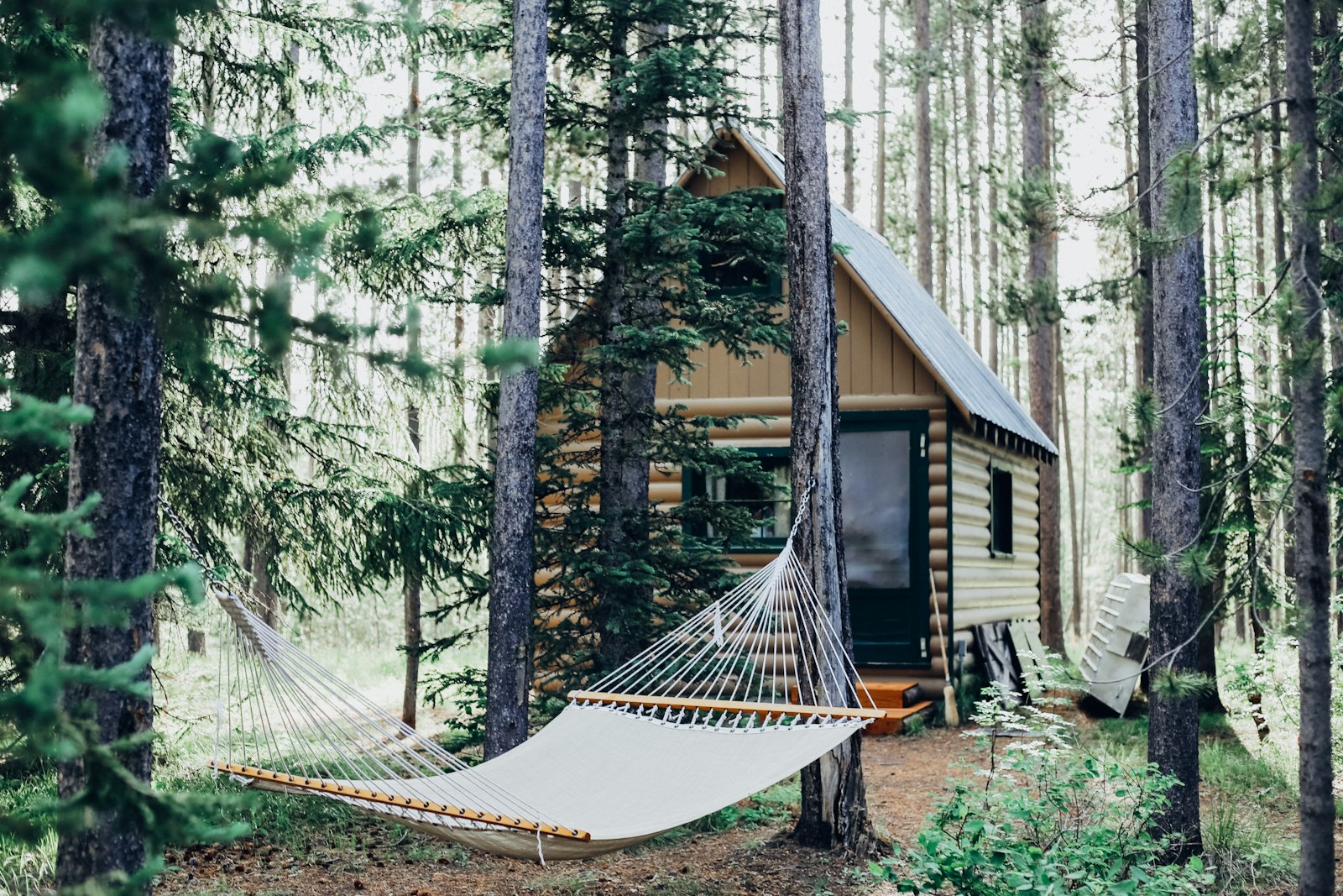 The terrace and hammock between the pines
